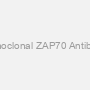 Monoclonal ZAP70 Antibody